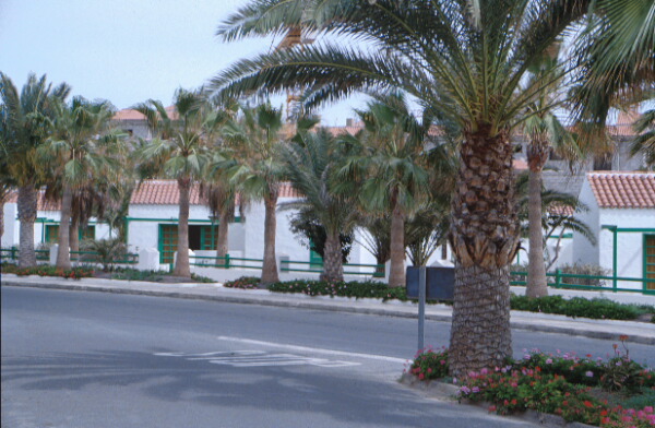 Ferienanlage in Caleta de Fustes - Fuerteventura