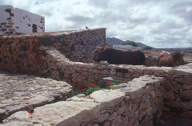 Ecomuseo La Alcogida in Tefia